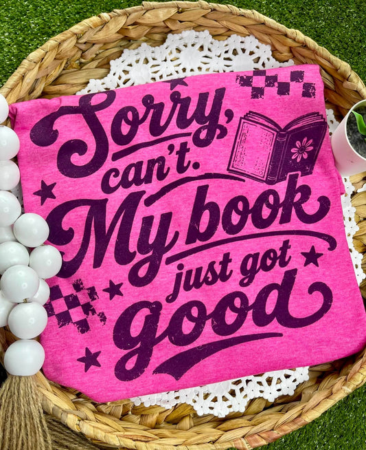 Sorry, Can't. My Book Just Got Good